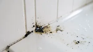 Czym uszczelnić szparę między ścianą a brodzikiem